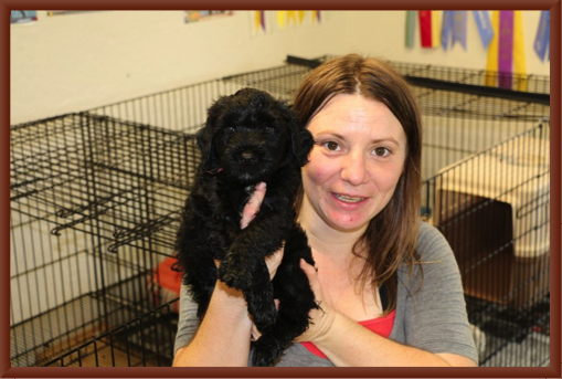 Rosa & Koala, the Puppy Au Pair